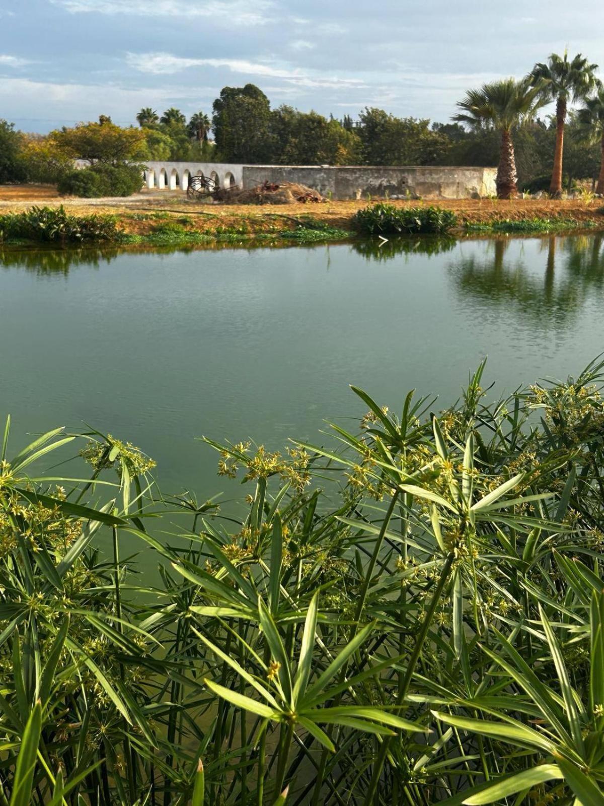Glamping On Organic Yoga Farm With Natural Swimming Pool Near Beach Moncarapacho Exterior foto