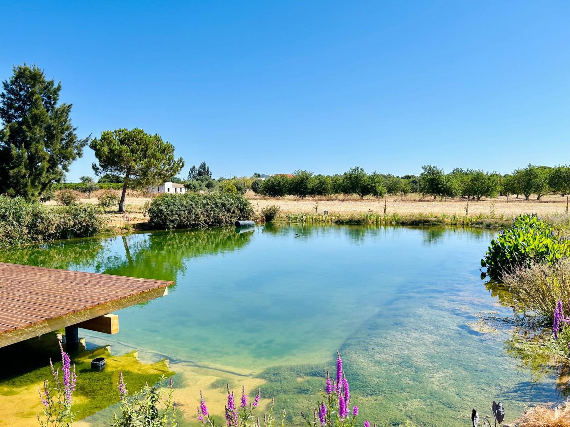 Glamping On Organic Yoga Farm With Natural Swimming Pool Near Beach Moncarapacho Exterior foto